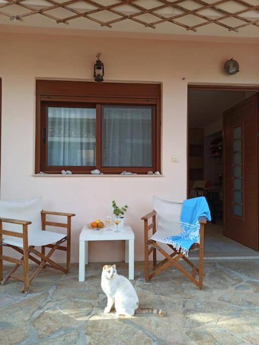 Cozy Apartment In The Heart Of Plaka Ágios Nikólaos Екстериор снимка